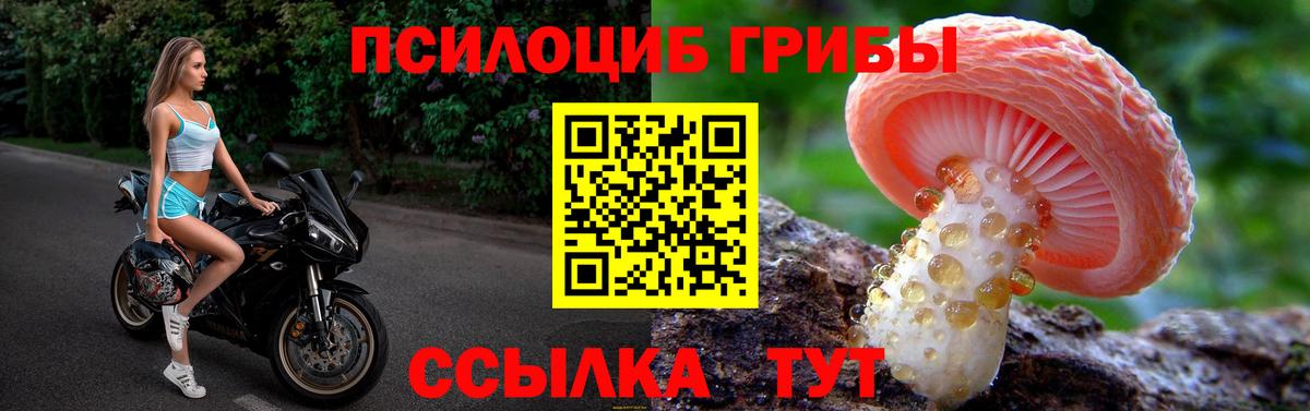 Псилоцибиновые грибы MAGIC MUSHROOMS Ялта