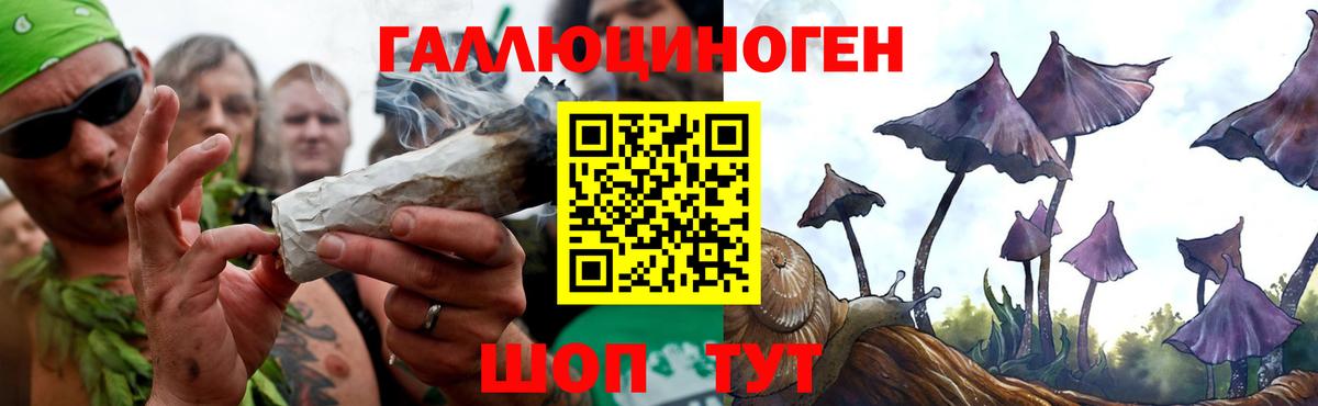 Галлюциногенные грибы мицелий  Вход с VPN  Ялта  Галлюциногенные грибы мицелий 